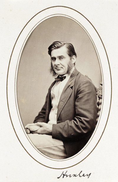 Huxley, 1865 alkotó: Unbekannt