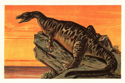 Iguanodon bernissartensis, az Iguanodontian dino1908 kihalt faja (litográfia) alkotó: Unbekannter Künstler