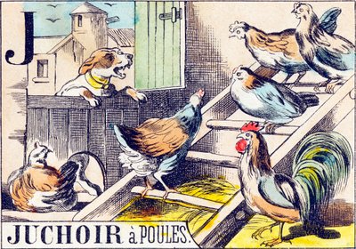 J Juchoir a poules - "Tanya ábécéje" 19. század vége (metszet) alkotó: Unbekannt