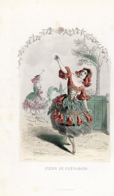 La fee de la fleur de grenade danse - Charles Geoffroy (1819-1882) metszete, Jean Ignace Isidore Gerard dit J.J.J.J.Granville (1803-1847) illusztrációja alapján, Les fleurs animees című kötetéhez. alkotó: Unbekannter Künstler