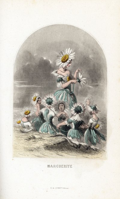 Les fees des daisies des pres, tetején virágkalapokkal, az egyik elhagyja a szirmok egy százszorszép - Eau forte Charles Geoffroy (1819-1882), Jean Ignace Isidore Gerard dit J.J.Granville (1803-1847) illusztrációja után, a Les fleurs animees számára. alkotó: Unbekannter Künstler