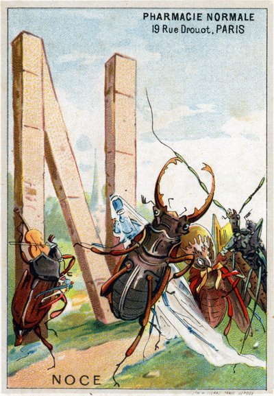 N betű mint esküvő. Mr. Marinier művészi ábécéje. Szerkesztette Henry Sicard, 19. század vége. Kromolitográfok reklámozása a gyógyszertárakban forgalmazott termékekhez. Mérete: 12,5 x 9 cm alkotó: Unbekannt