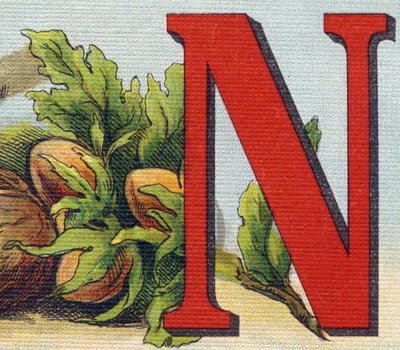 N betű: mogyoró. Metszet "Alphabet de ma petite fille". Bernardin-Bechet és Fils, könyvkereskedő-kiadók, Párizs, 1895 körül. Törhetetlen album vásznon. Bibliotheque des Bebes. 12 oldal. Olvasási módszert és szemléltető abec-et tartalmazó album alkotó: Unbekannt