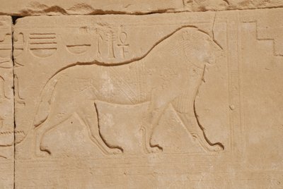 Oroszlánfaragás, Karnak, Luxor, Egyiptom (fotó) alkotó: Unbekannt