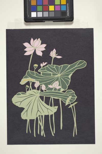 Lotus (többszínű vágott papír) alkotó: Unbekannter Künstler