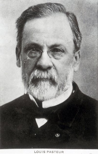 Louis Pasteur, francia kémikus és mikrobiológus, 1885 körül alkotó: Unbekannter Künstler