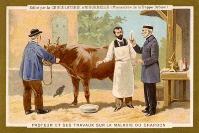 Louis Pasteur dolgozik a lépfene ellenszerének megtalálásán alkotó: Unbekannter Künstler