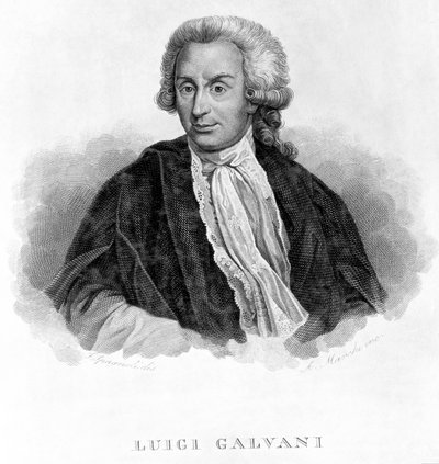 Luigi Galvani olasz fiziológus, 1770-es évek alkotó: Unbekannt