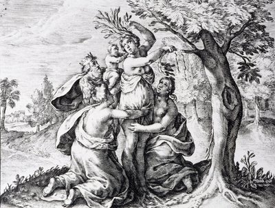 Mattei Ovidius metamorfózisaiban alkotó: Unbekannter Künstler
