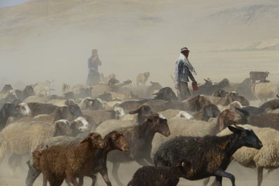 Nomád sátrak Tamar és Ashkhaneh között, Irán 2022 (fényképezés) alkotó: Unbekannter Künstler