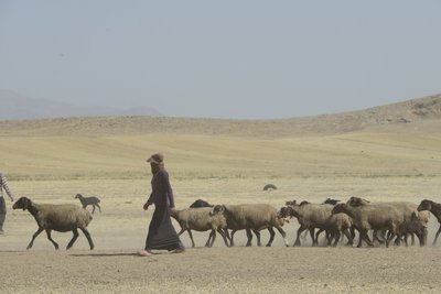 Nomád sátrak Tamar és Ashkhaneh között, Irán 2022 (fényképezés) alkotó: Unbekannter Künstler