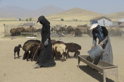 Nomád sátrak Tamar és Ashkhaneh között, Irán 2022 (fényképezés) alkotó: Unbekannter Künstler