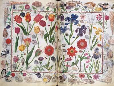 Lapok Philipp Hainhofer, 1596-1633 Amicorum albumából alkotó: Unbekannt