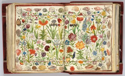Lapok Philipp Hainhofer, 1596-1633 Amicorum albumából alkotó: Unbekannt