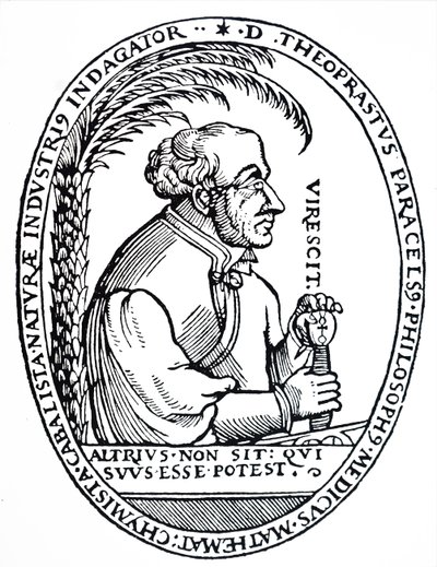 Paracelsus. alkotó: Unbekannt