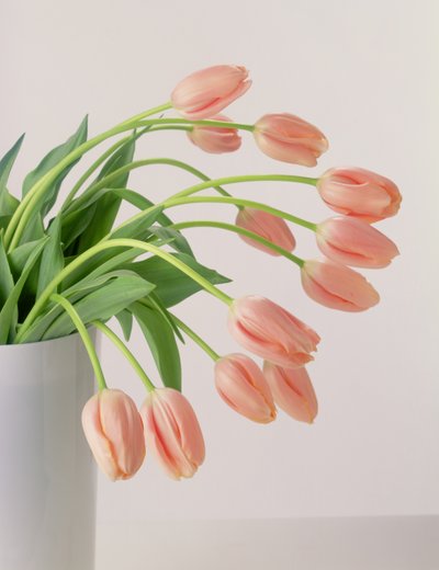 Rózsaszín tulipánok alkotó: Unbekannter Künstler