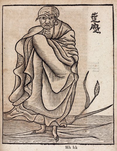 Bodhidharma portrénapja (v alkotó: Unbekannt