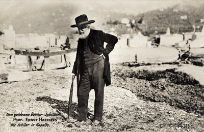 Ernst Haeckels professzor Rapalloban, Olaszországban (f/w fotó) alkotó: Unbekannt