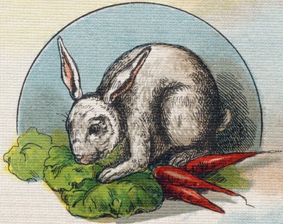 Nyúl eszik egy sárgarépát. Metszet "Alphabet de ma petite fille". Bernardin-Bechet és Fils, könyvkereskedő-kiadók, Párizs, 1895 körül. Törhetetlen album vásznon. Bibliotheque des Bebes. 12 oldal. Olvasási módszert és szemléltetőt tartalmazó album a alkotó: Unbekannt