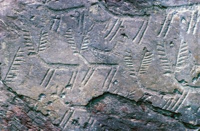 Sziklafaragványok a Massi di Cemmo Nemzeti Régészeti Parkban, Val Camonicában (az Unesco világörökségi listája) alkotó: William M. Timlin