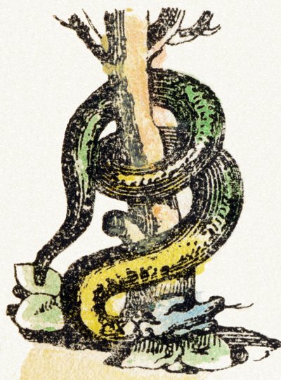 S – Serpent – Child Entertainment Alphabet c.1890 (litográfia) alkotó: Unbekannt
