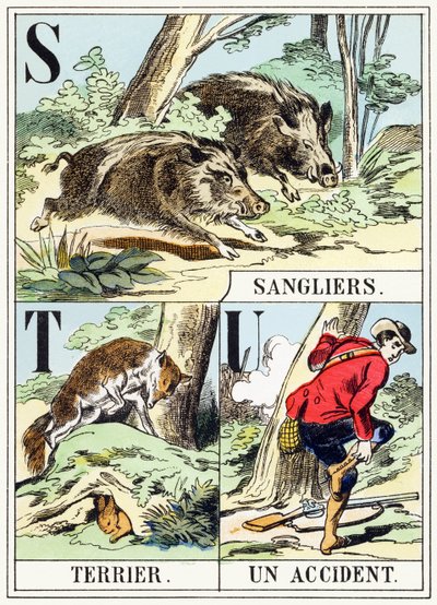 S T U: Sanglier, Terrier, Un-baleset - A vadászat ábécéje, 1890 körül (metszet) alkotó: Unbekannt