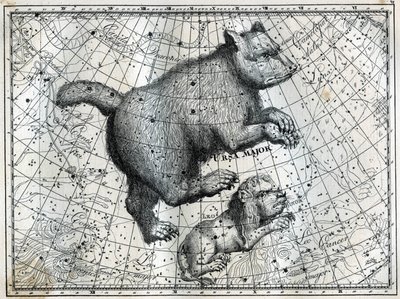A boreális csillagképek: a nagy medve és a kis oroszlán. Metszet Camille Flammarion „Az ég csillagai és egyéb érdekességei” című művéből alkotó: Unbekannt