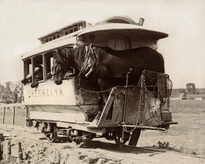 The Cherrelyn Horse Car, Denver, Colorado, 1890 körül (f/w fotó) alkotó: Nicolas Liez