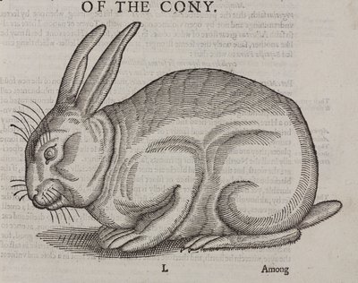 A Cony alkotó: Unbekannt