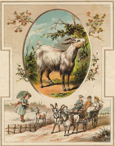 A kecske. Metszet "Mon premier Grand Alphabet"-ben. Bernardin-Bechet kiadás, Párizs, 1890 körül. Illusztrációi: A. des Lilleuls. Oldal nélkül, 46 oldal. Mérete: 31x22 cm. alkotó: Unbekannt