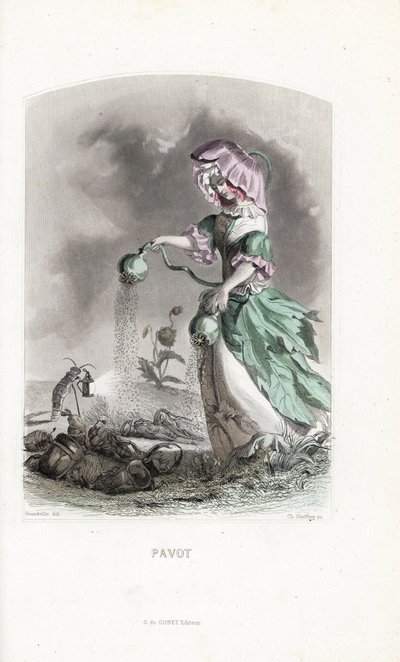 A mákdíjas ópiumgubót szór a koleopterekre és a sáskák drogjára - Eau forte Charles Geoffroy (1819-1882), Jean Ignace Isidore Gerard dit J.J.Granville (1803-1847) illusztrációja alapján, a Les fleurs animees című könyvhöz. alkotó: Unbekannter Künstler