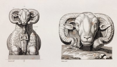 Théba alkotó: Unbekannt