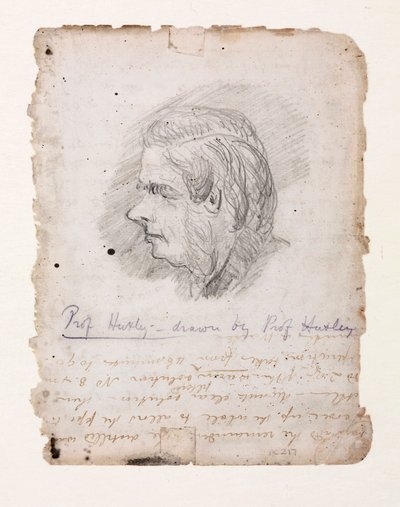 Thomas Henry Huxley, angol biológus, 19. század közepe-vége alkotó: Unbekannt