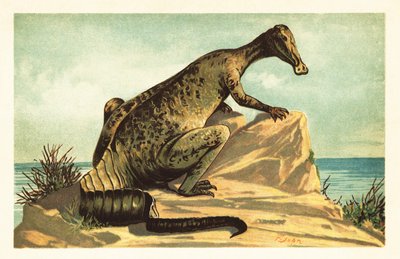 Trachodon mirabilis, kihalt hadrosaurad dinoszaurusz.1908 (litográfia) alkotó: Unbekannter Künstler