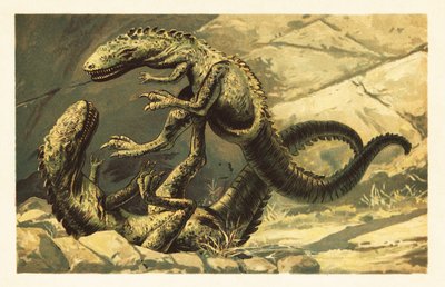 Két küzdő Dryptosaurus aquilunguis.1908 (litográfia) alkotó: Unbekannter Künstler