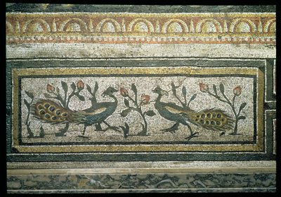 Két páva, dekoratív szegélyrészlet az évszakokat és a vadászjeleneteket ábrázoló mozaikburkolatról, a római daphnei Constantinian-villából, i.sz. 325-330 körül (márvány, mészkő és üvegmozaik) (105665 részlet) alkotó: Unbekannt