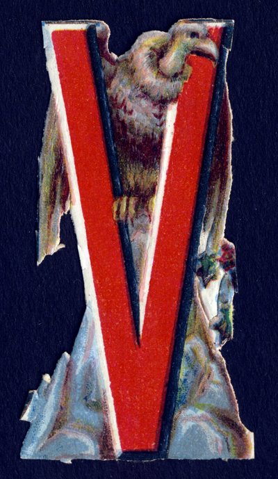 V, mint Keselyű. Bogár decoupis állatok témában. Metszés. 26 angol eredetű gofri kromolitográfiát tartalmazó sorozat. Szerkesztő és illusztrátor ismeretlen. század vége. Mérete: 5,5x3,5 cm alkotó: Unbekannt