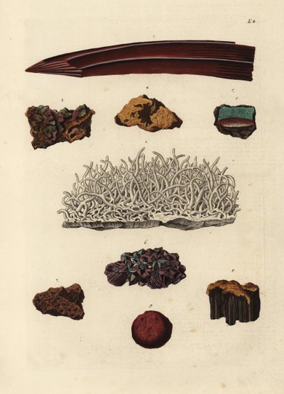 A vasérc fajtái. Kézi rézmetszet Georg Wolfgang Knorr Deliciae Naturae Selectae of Kabinet van Zeldzaamheden der Natuur című művének illusztrációja után, Blusse and Son, Nürnberg. alkotó: Unbekannter Künstler