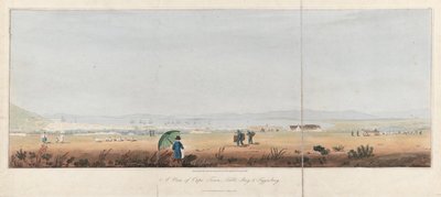 Kilátás Fokvárosra, a Table Bayre és a Tygerberg-hegységre (Dél-Afrika). J.W. Burchell litográfiája (26,5x53,5 cm). alkotó: Unbekannter Künstler