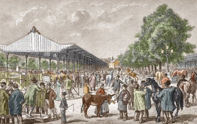 A párizsi 5. kerületi lóvásár látványa Les stages d