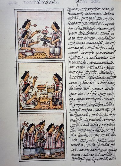 Lakomára készülő nők, Firenzei kódex IV. könyve, Kétnyelvű változat spanyol és nahuatl nyelven, Új Spanyolország dolgainak általános története (Historia general de las cosas de Nueva Espana), azték civilizáció alkotó: William M. Timlin