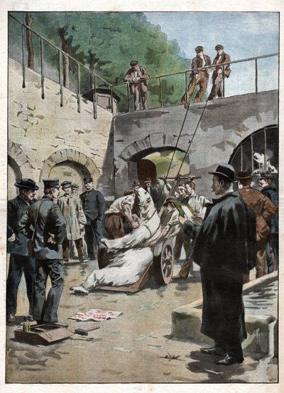 A Jardin des Plantes állatkertje. Állatkert a Jardin des Plantes-ban. alkotó: Nicolas Liez