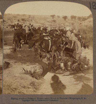 Tüzérségi lovak itatása, Welgelegen, Dél-Afrika alkotó: Underwood and Underwood
