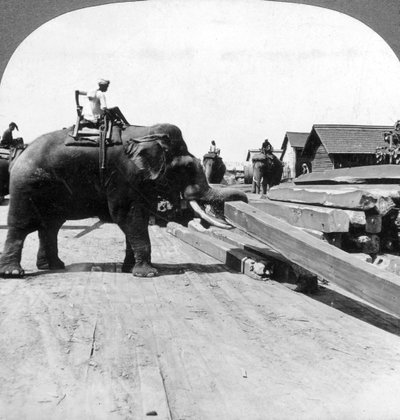 Fát mozgó elefántok, Rangoon, Burma, Mianmar, 1900-as évek. alkotó: Underwood and Underwood