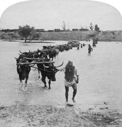 Fording the Modder River, Boer War, Dél-Afrika, 1901. február 15. alkotó: Underwood and Underwood