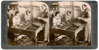 Selyemgyártás, Szíria, 1900-as évek. alkotó: Underwood and Underwood