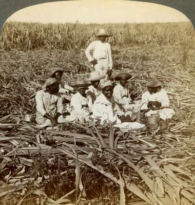 A La Union cukorültetvényen, San Luisban, Santiago tartományban, Kubában, 1899. alkotó: Underwood and Underwood
