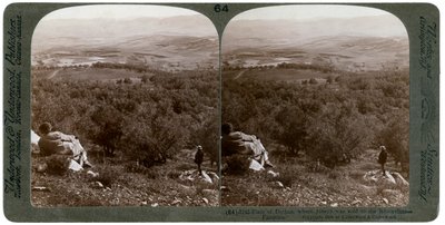 Dothan síksága, Palesztina, 1900. alkotó: Underwood and Underwood