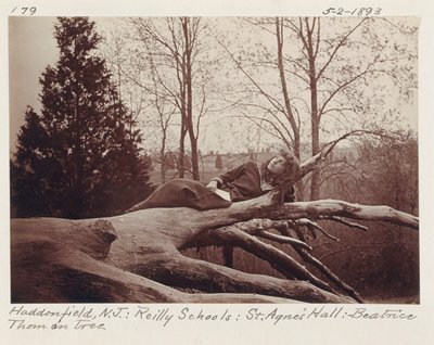 [Beatrice Thom a fán, Haddonfield, New Jersey] alkotó: Unidentified