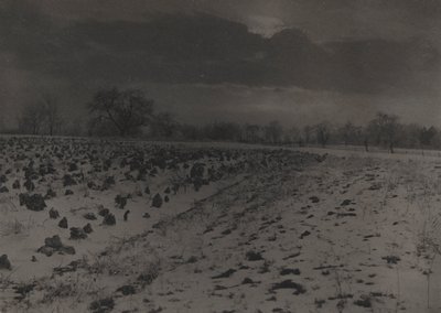 Káposzta mező hó alatt alkotó: Unknown
